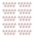 zdjęcie 1