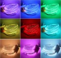 zdjęcie 2