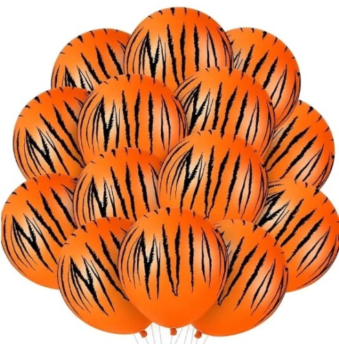 zdjęcie 1