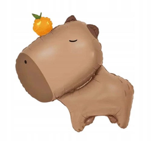 zdjęcie 1